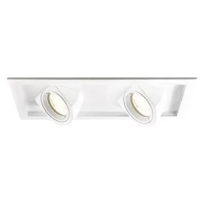 LED Multiple Two Light Trim with Light Engine052695 > Urban Lamp Designs